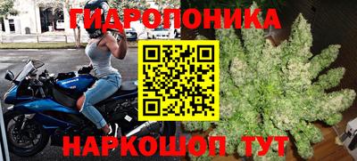 экстази Кандалакша