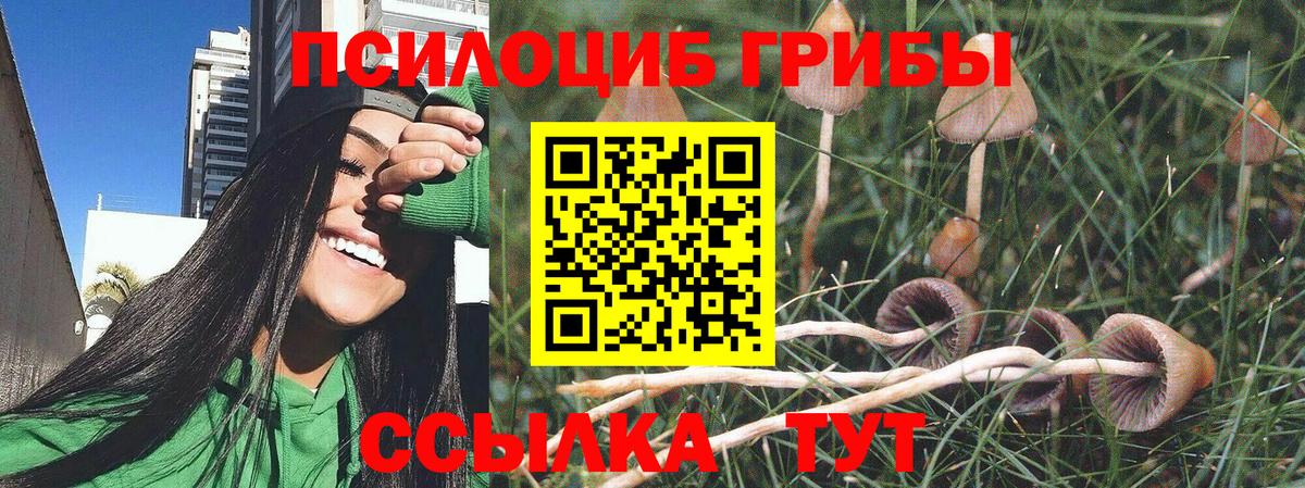 Мелеуз  Псилоцибиновые грибы мухоморы  Галлюциногенные грибы мицелий  Вход с VPN 